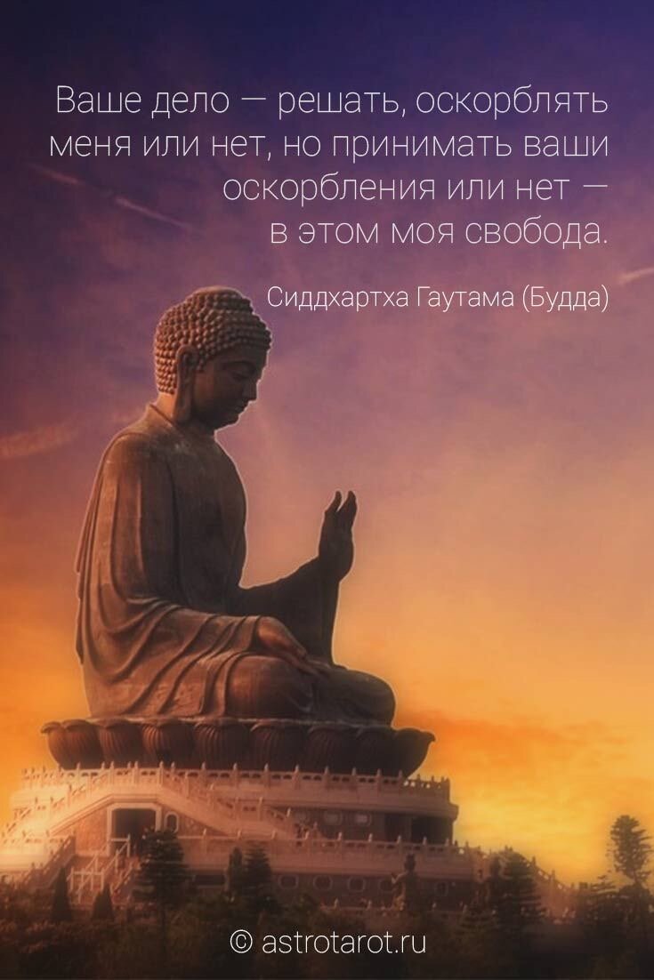 https://avatars.dzeninfra.ru/get-zen_doc/1904579/pub_5ff748e7d1a90641ca38fd28_5ff74905af142f0b179e2a3b/scale_1200