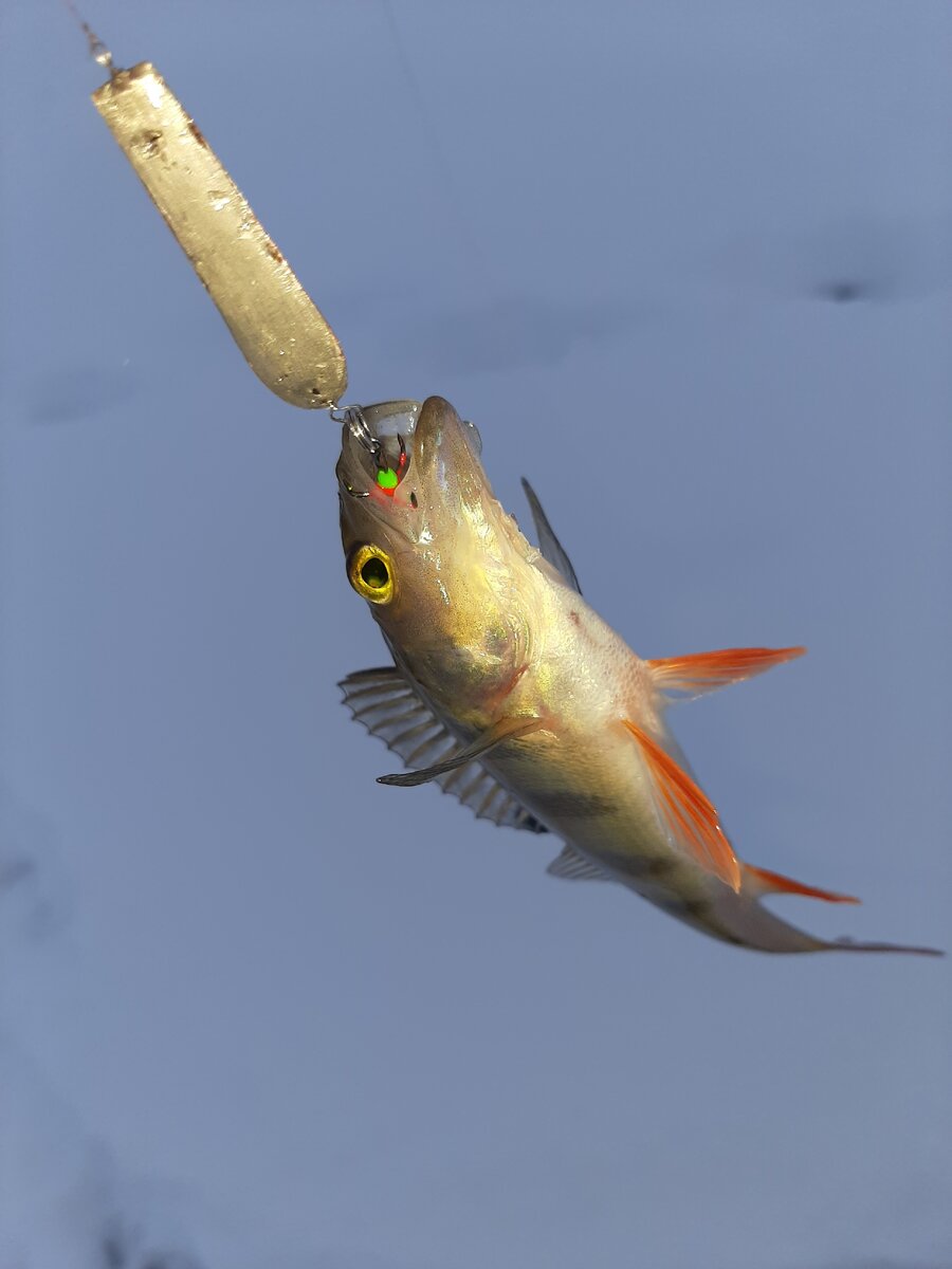 Как можно заметить, есть непропаянные углы и несколько каверн - прямой сигнал о том, что припоя вообще не хватает