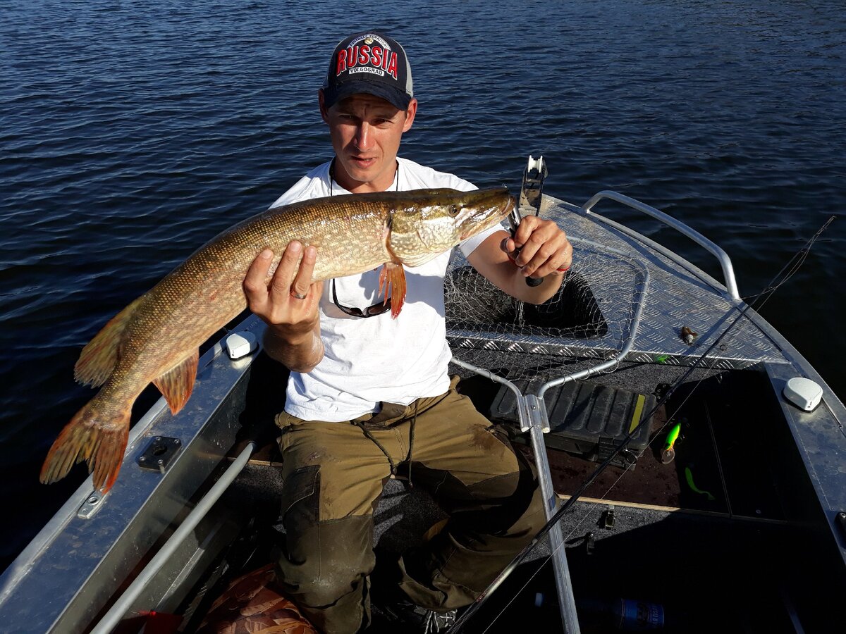 фото из личного архива. Река Волга и ее зубастая хозяйка.