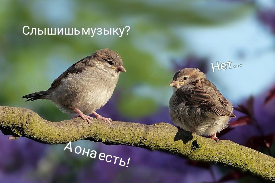 <<<Отсылочка к ДМБ>>>