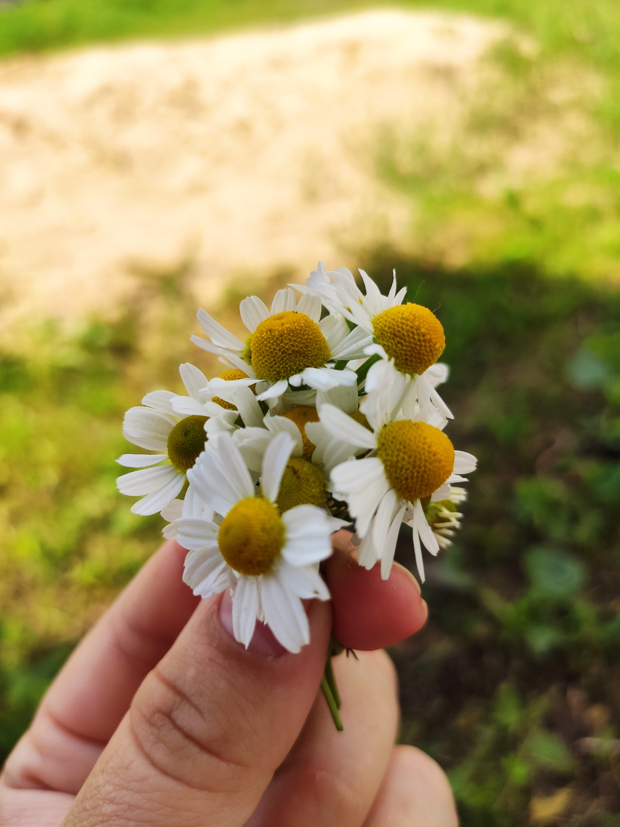 Букетик от любимой доченьки 💕