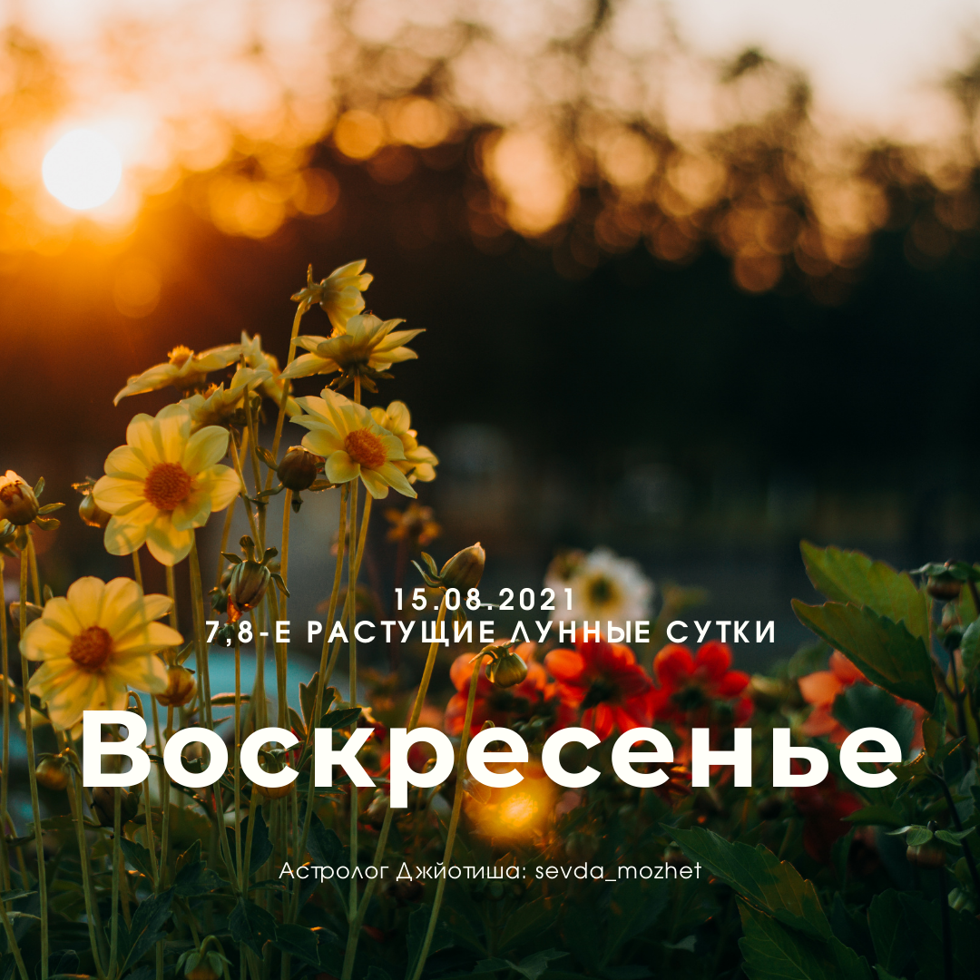 Астролог Джйотиша Севда Абдуллаева