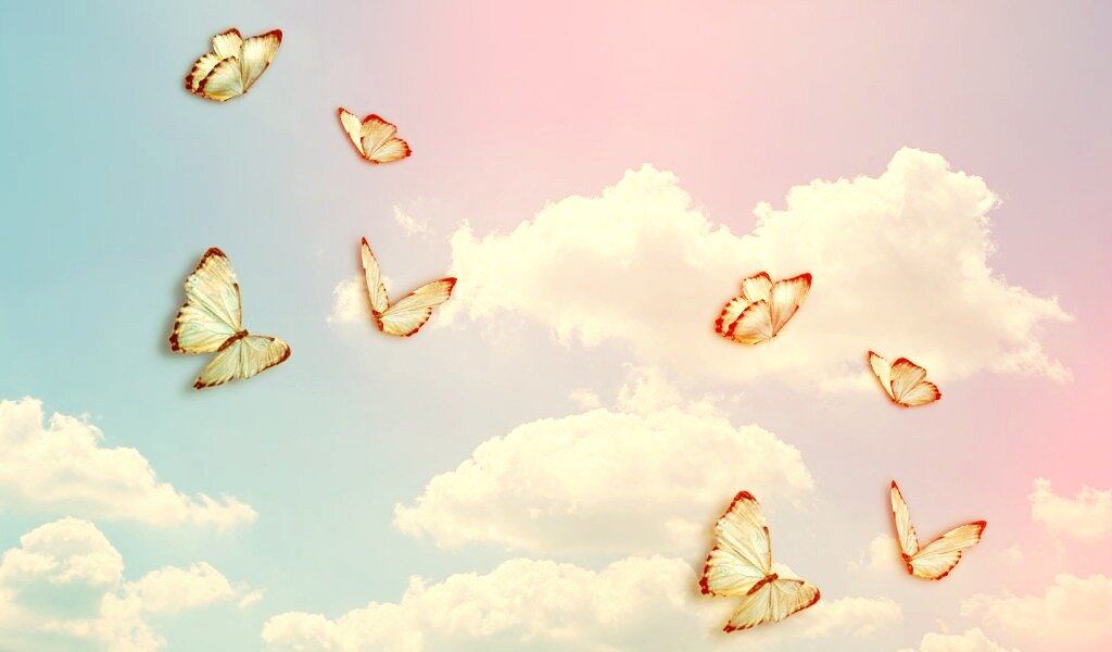 Мечты и планы, почему о них не надо рассказывать