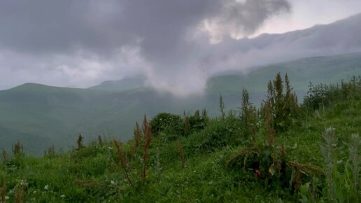 Чарующий туман на перевале Гумбаши