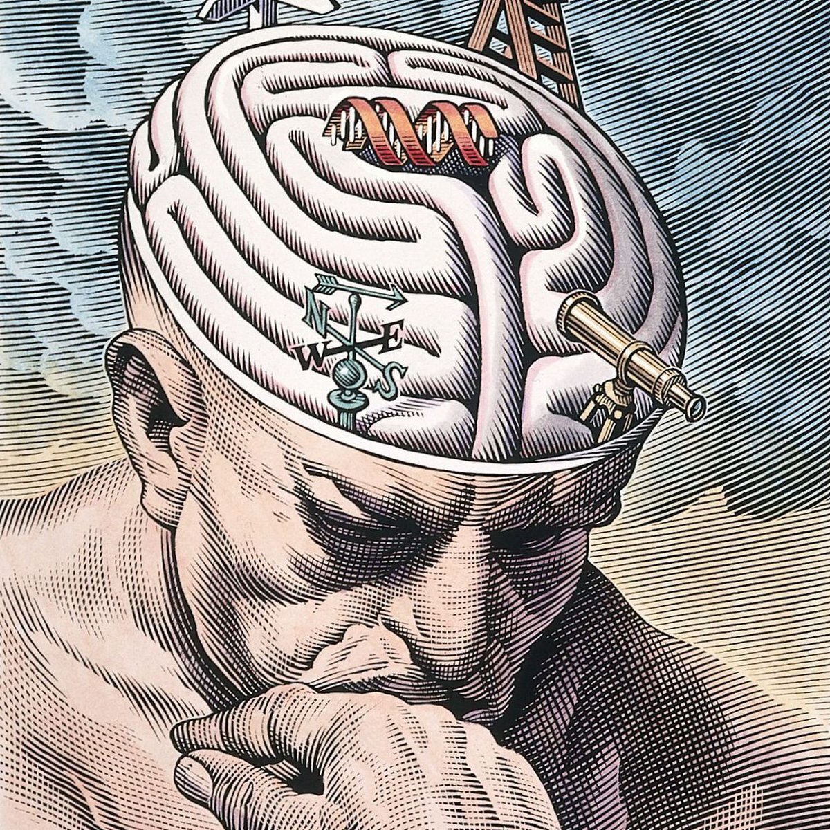 Религиозность головного мозга, как полезная адаптация? | Исторические  напёрстки | Дзен