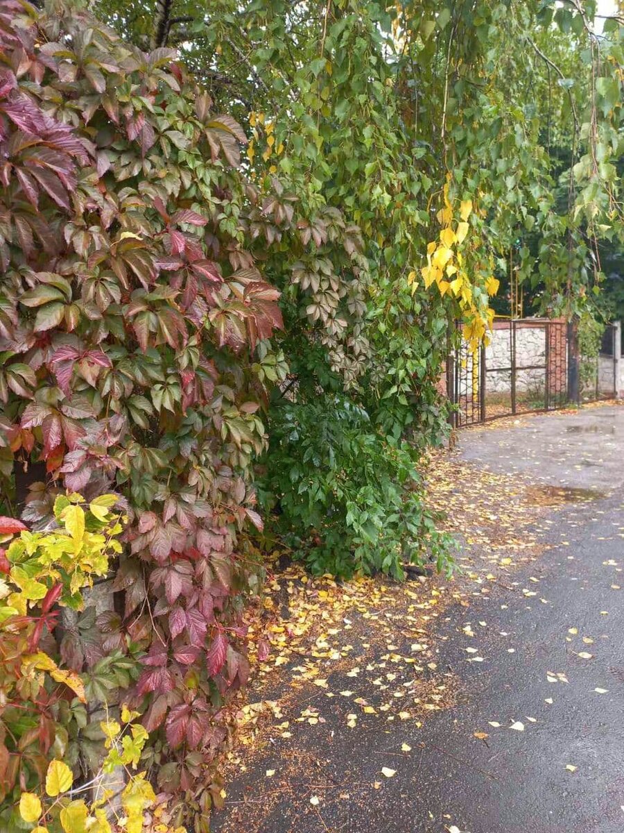 Фото автора.