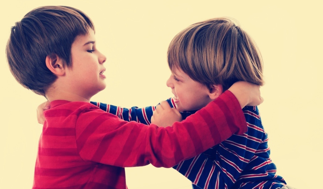 Разбираемся с обоими из за чего драка, предлагаем совместно играть. 