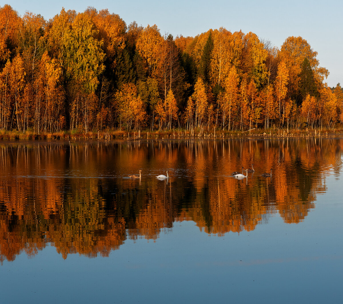 село Верхосунье Фаленского района.