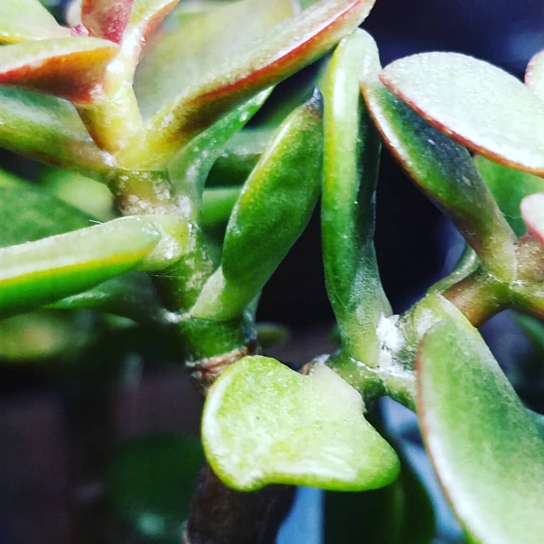 @le.amour.de.soi