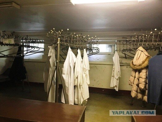 Фото из сети