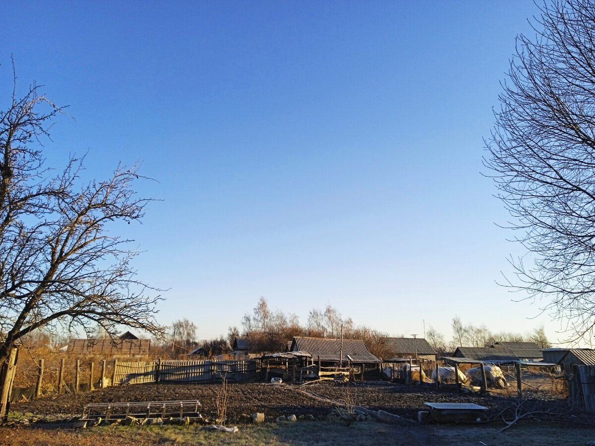 Морозец усиливается с каждым днем