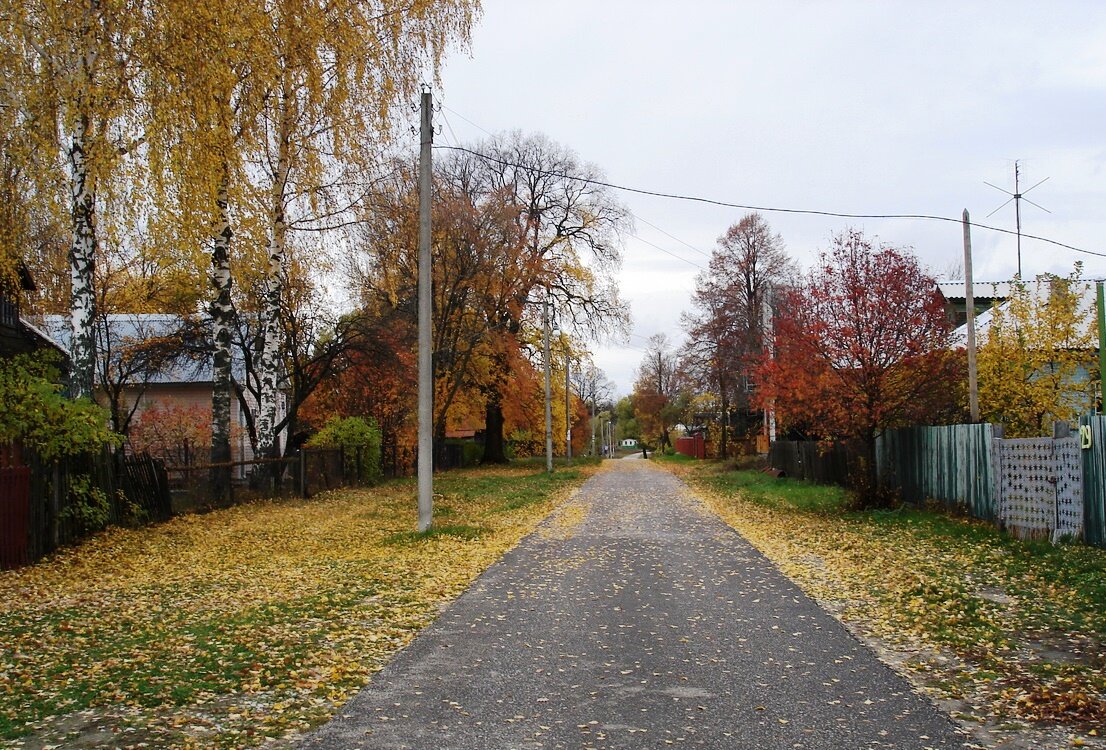 Деревня Власово Орехово-Зуевского района, где в 1980-1990-е жил народный артист Михаил Кононов