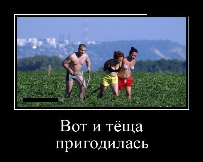 помощь тёщи зятьку