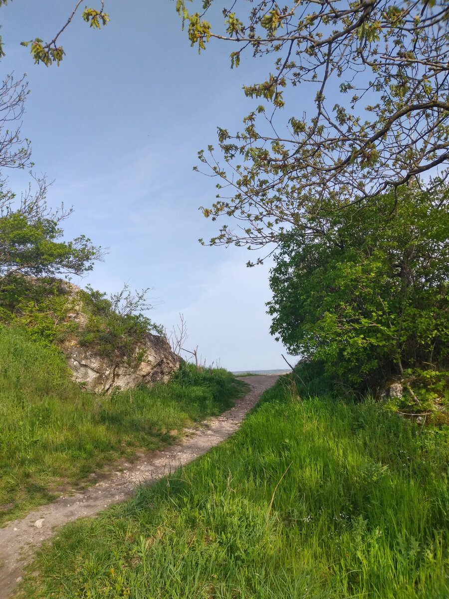 Фото автора. Тропы горы Машук полны тайн и загадок. Здесь я столкнулся с Феноменом