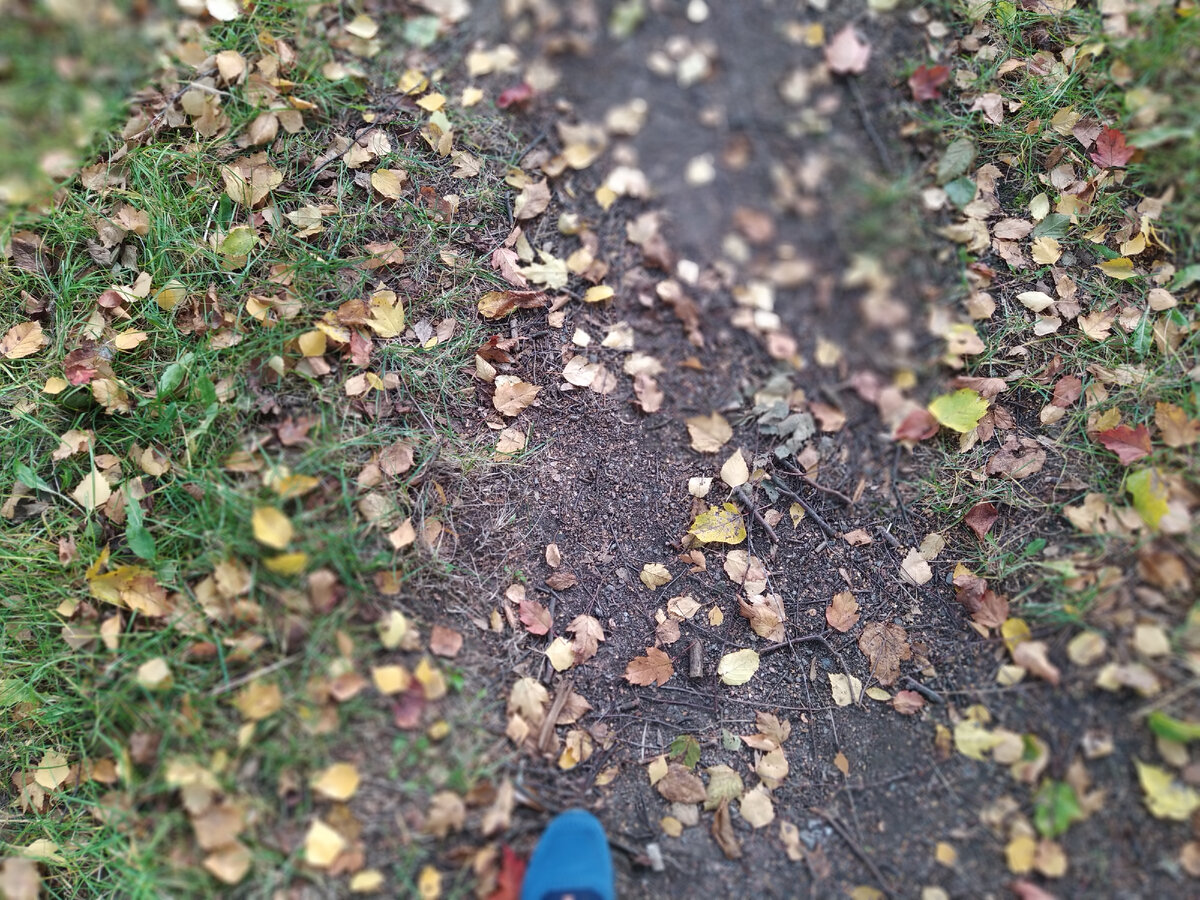 Я верю в Ангела -хранителя....