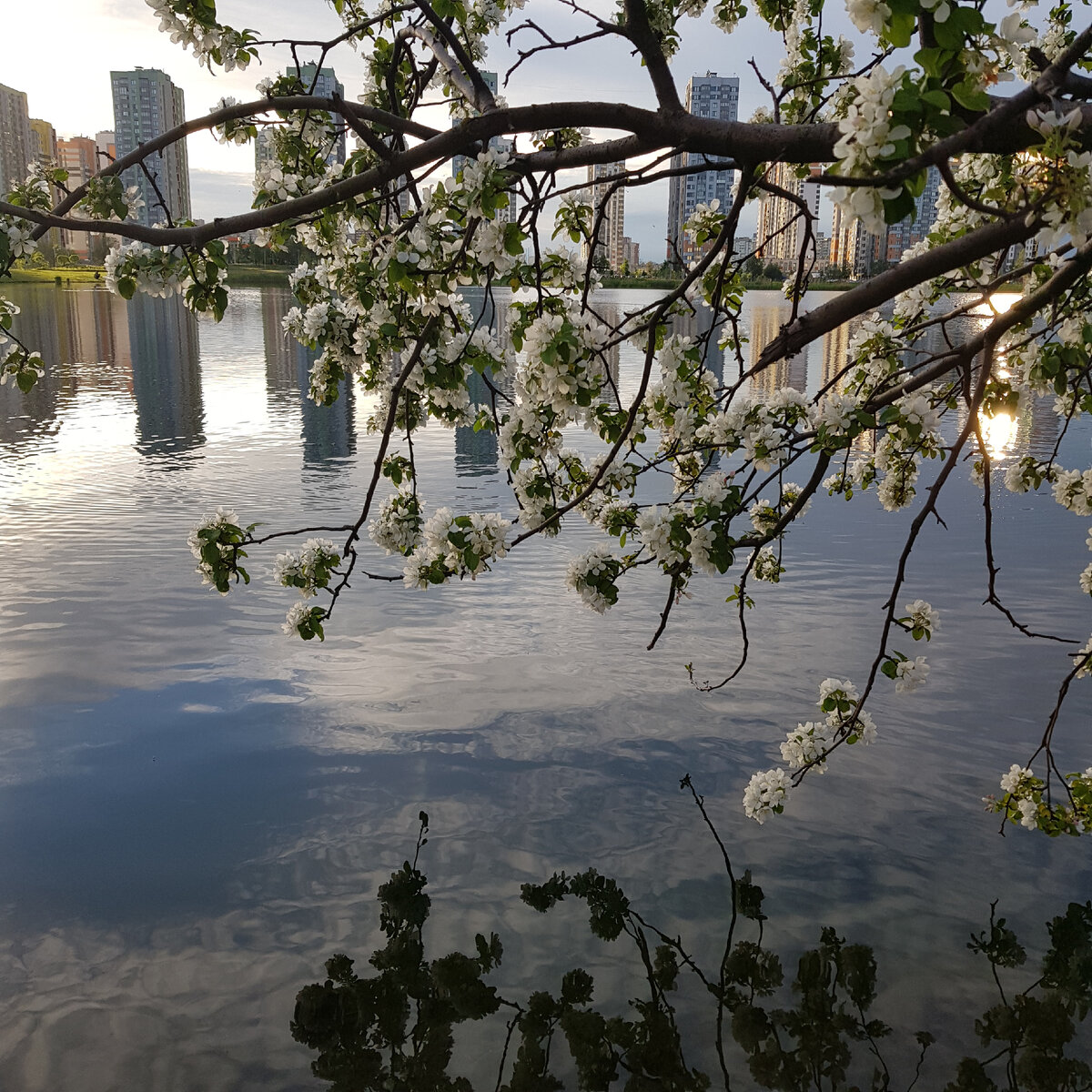 Прогулки сейчас такие красивые!! )) 