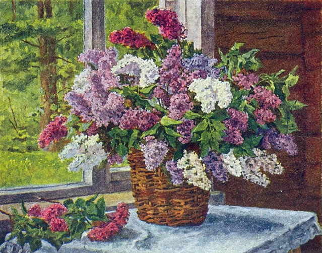 "Сирень в корзине". Кончаловский Пётр Петрович.
