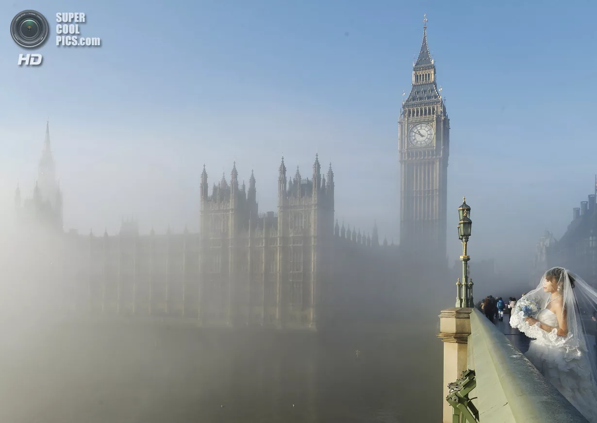 Илл. из открытого источника