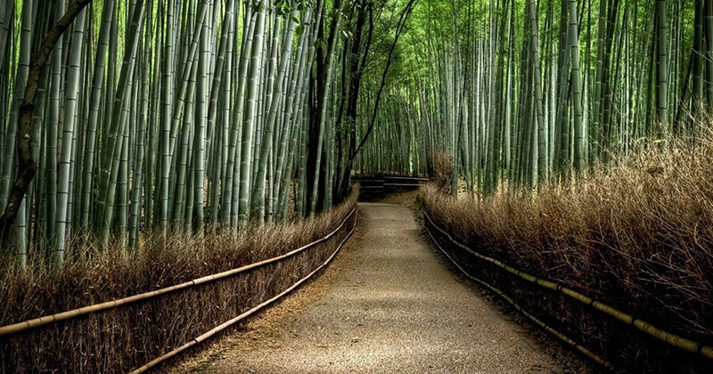 Автор: IN PLANET