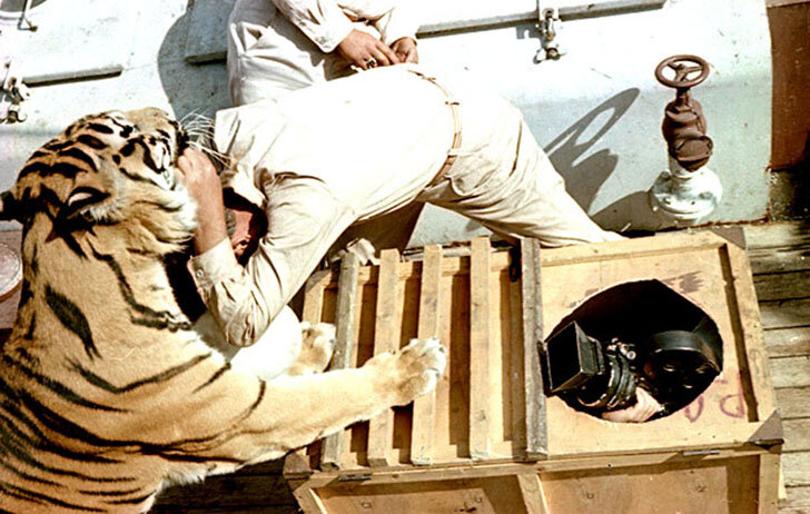 Съемки фильма "Полосатый рейс" 