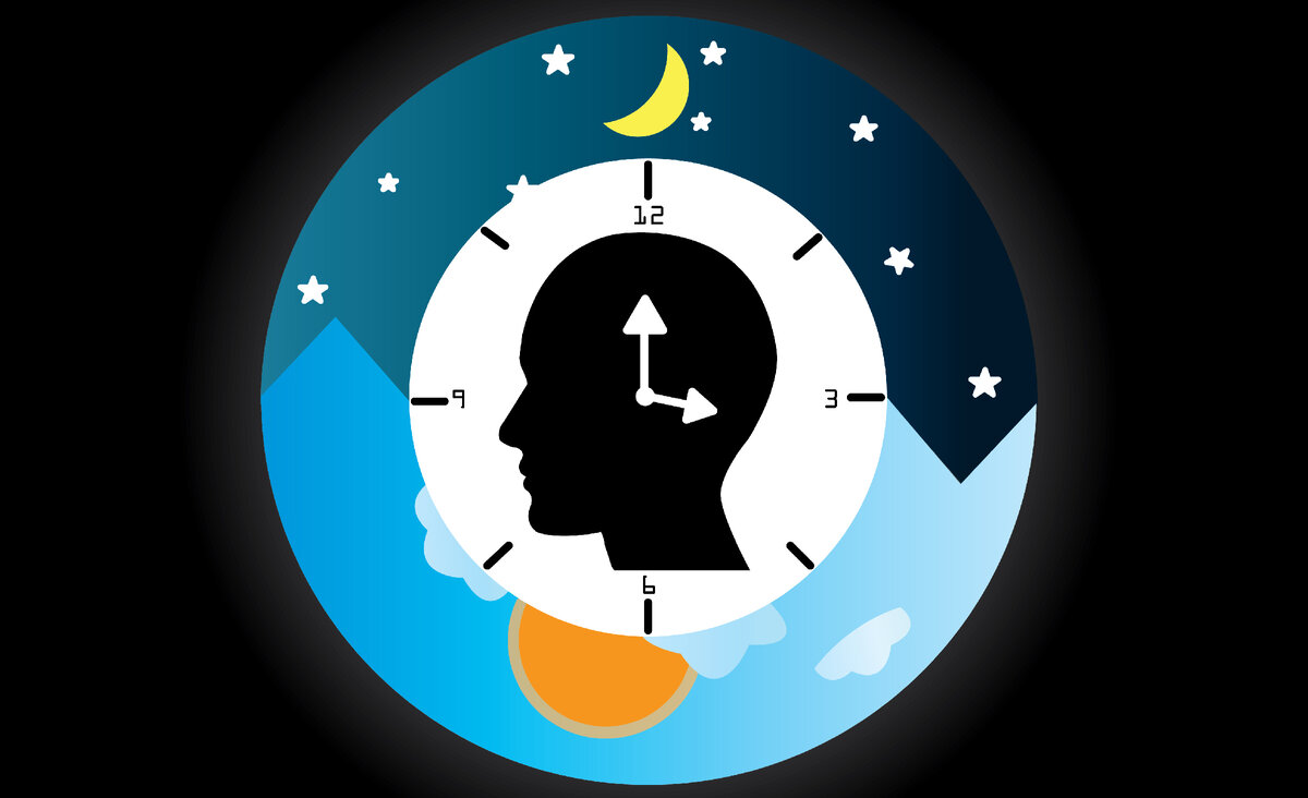 биоритмы часы. человек часы. человек с часами. часы биоритмов человека. биолог часы.