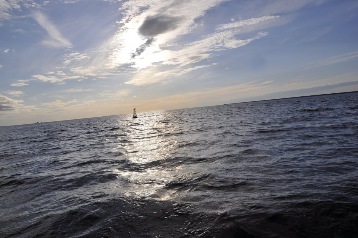 Пример взятый из свободного доступа при поиске в браузере "Яндекс".