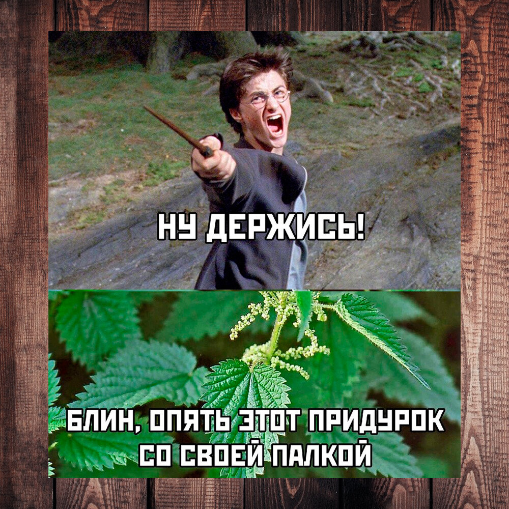 Фото с просторов интернета