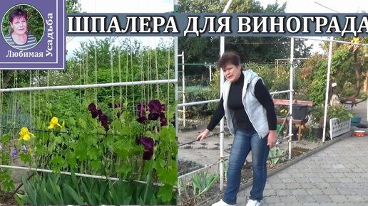 Как сделать шпалеру для винограда своими руками