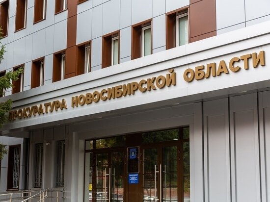     Фото: Густаво Зырянов / МК в Новосибирске