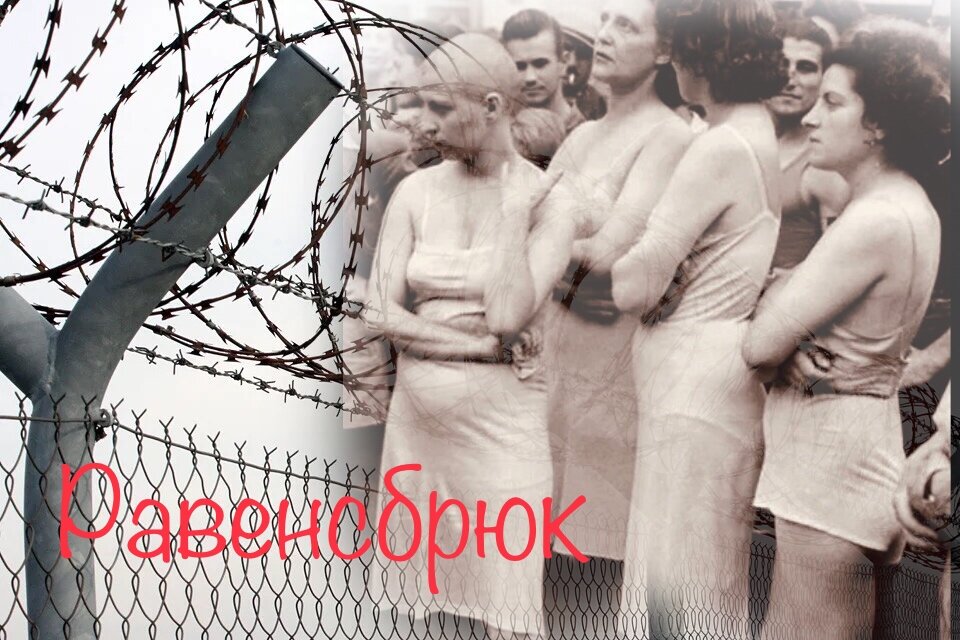 Древо жизни 