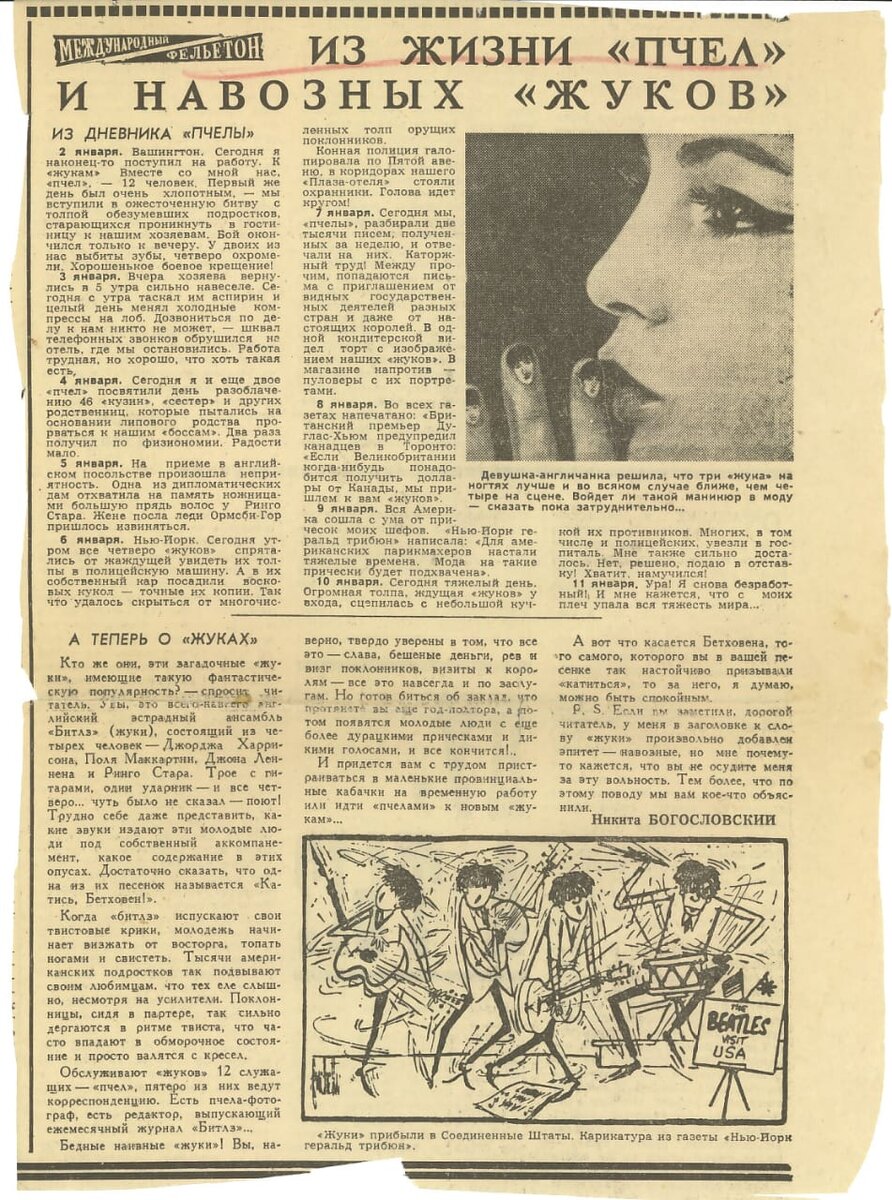 О "Жуках"