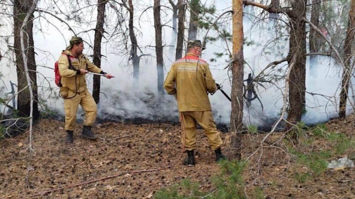    Фото: пресс-служба министерства экологии и природных ресурсов РК Август Макаров