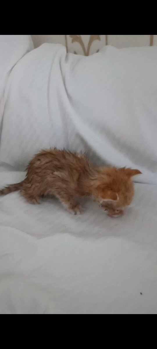 Первый день.