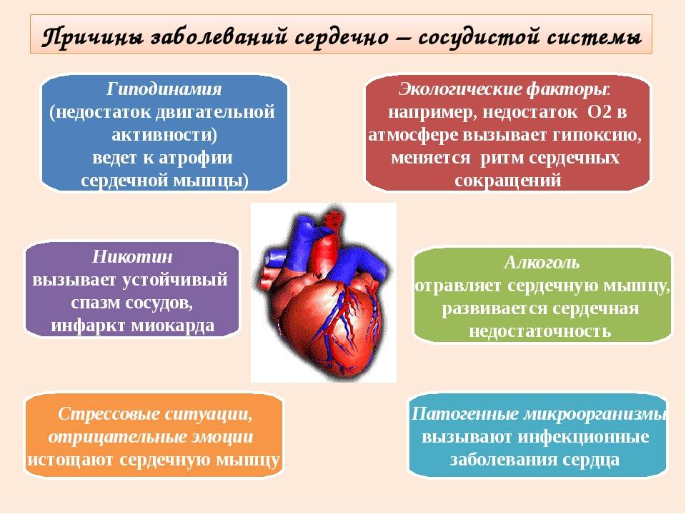 Каковы наиболее частые причины. Заболевания сердечно-сосудистой системы. Причины заболевания сердечно-сосудистой системы. Причины сердечно-сосудистых заболеваний. Причины заболевания ССС.