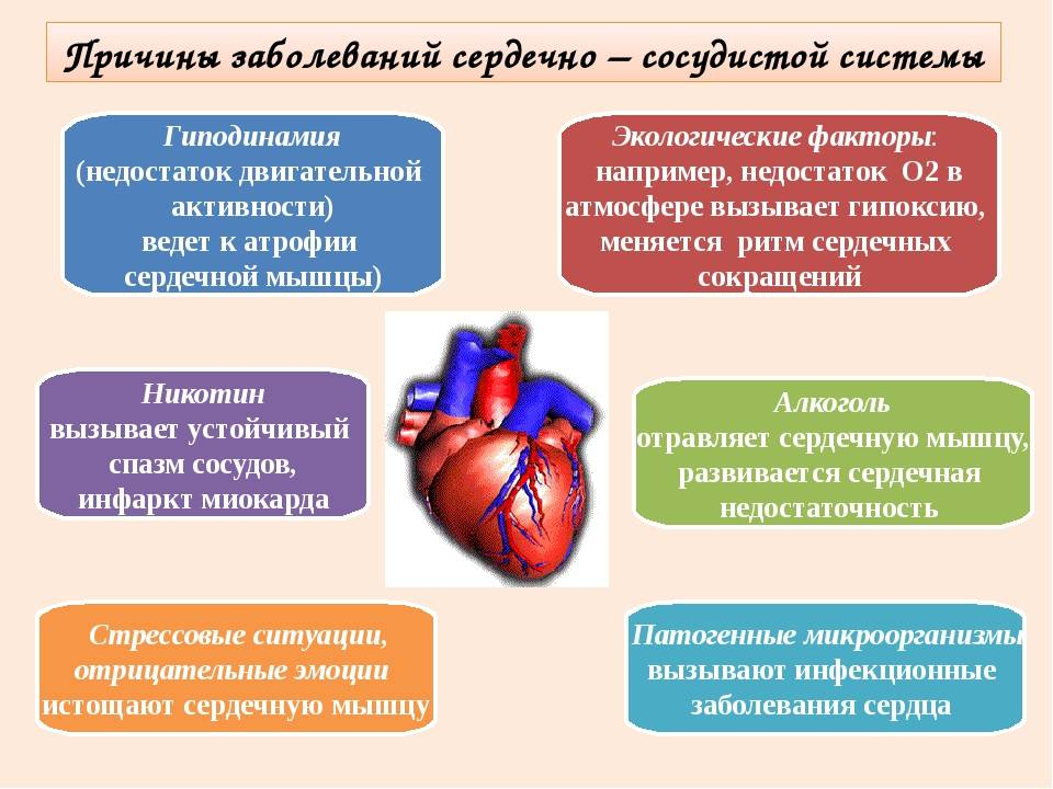 Виды ишемической болезни сердца (ИБС)