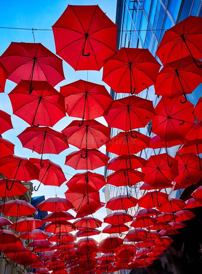 Яндекс картинки