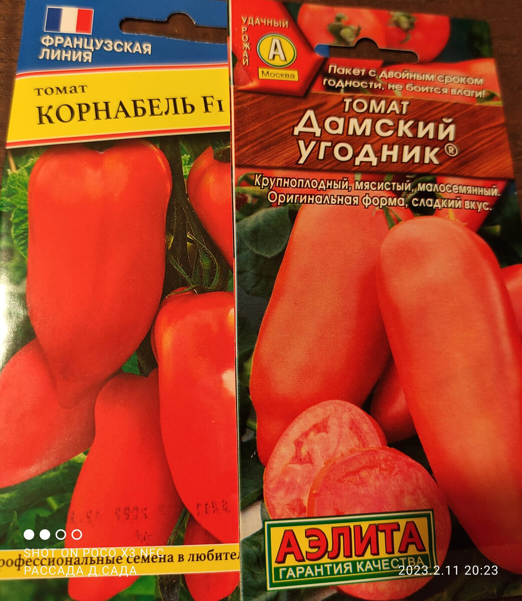 Сорт томатов дамский угодник отзывы. Семена по 4 рубля.
