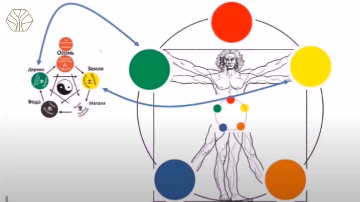 Здоровье человека по восточной медицине - это целостная система – система пяти первоэлементов (вода, дерево, огонь, земля и металл), то есть система меридиональная.