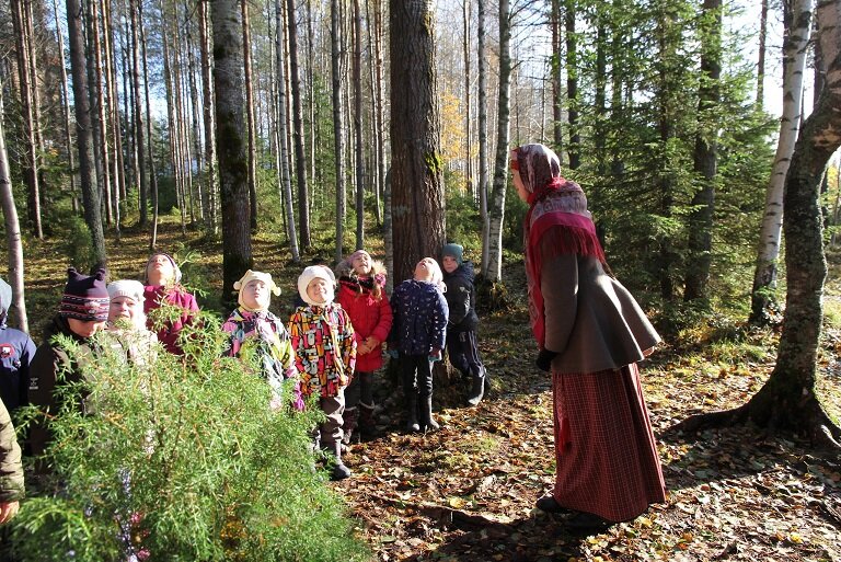 Встретила лесная. Экскурсия в лес.