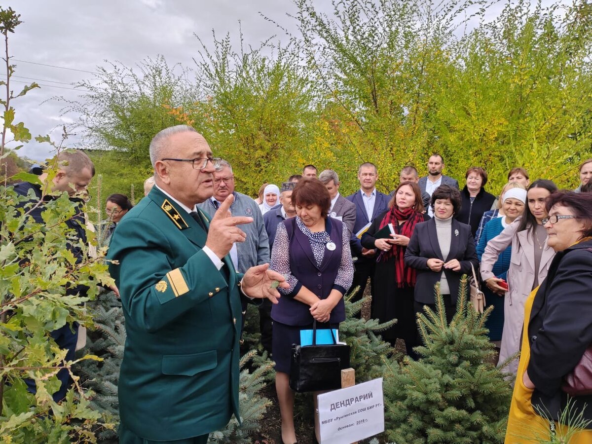 Экологическое воспитание подрастающего поколения и развитие школьного  лесничества | НОВОСТИ БУИНСКОГО РАЙОНА | Дзен