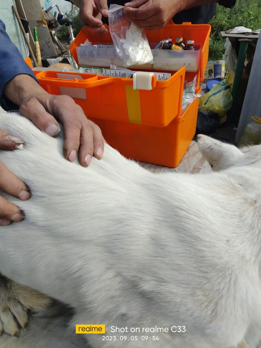 Чужая подобрашка