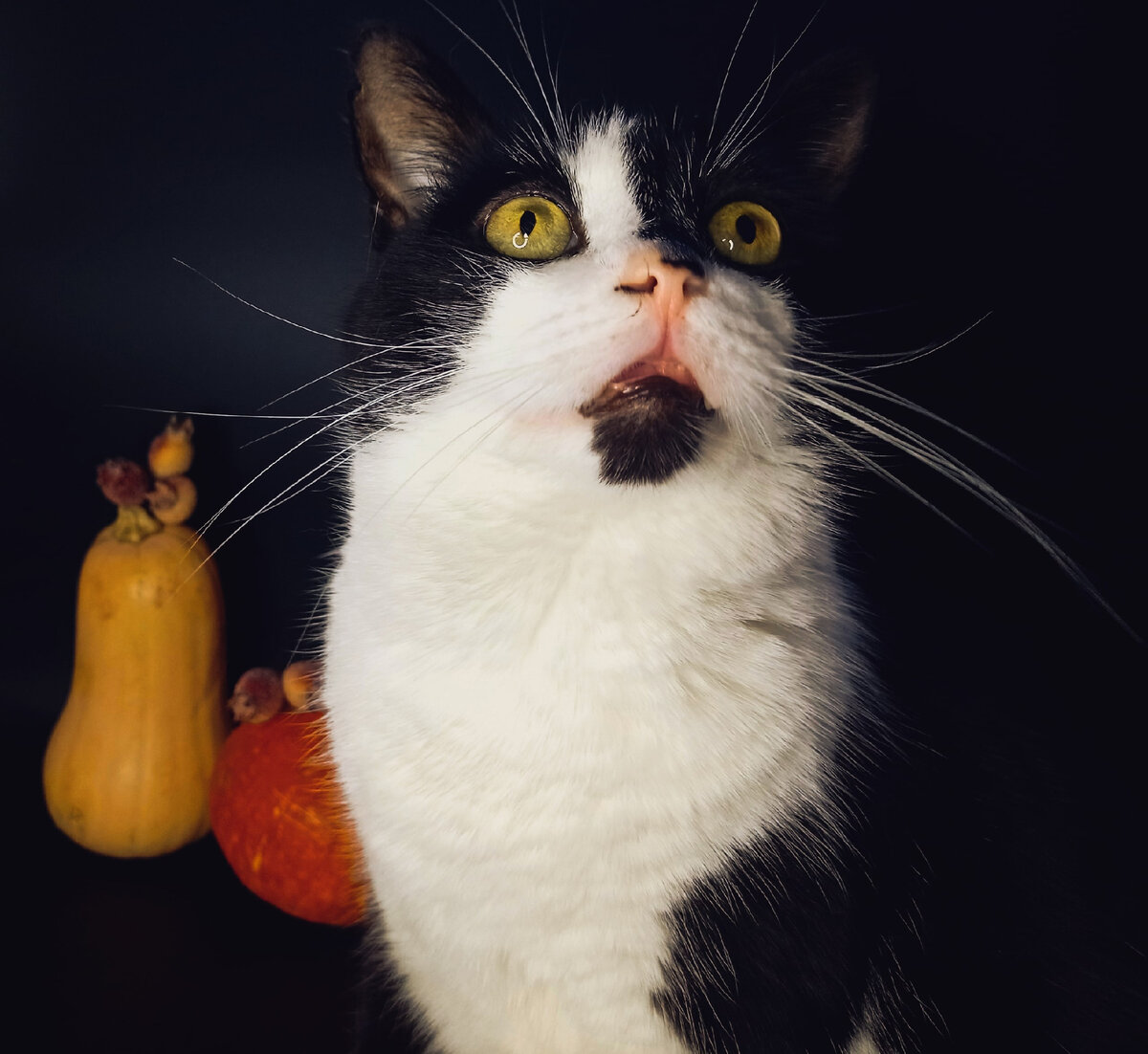 Геральт, не печалится