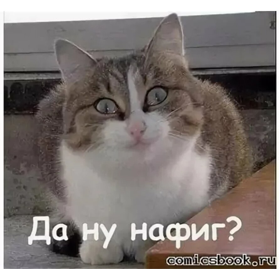 Ой, а как это так получилось? Яндекс Картинки 