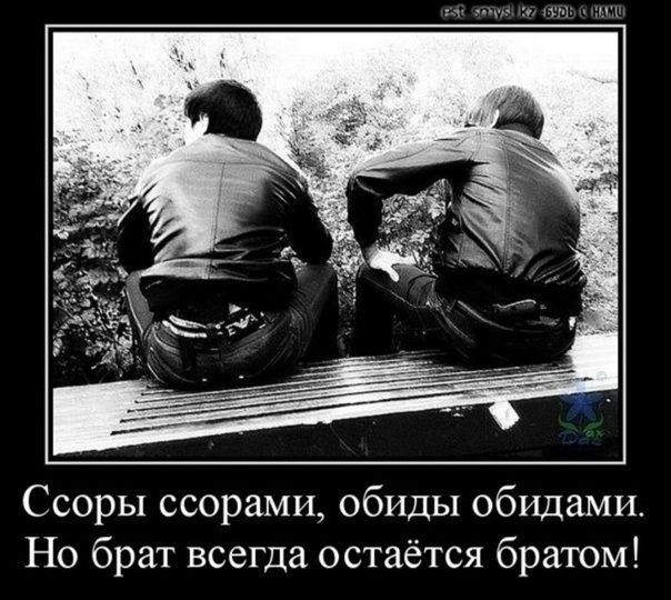 Вражда между самыми родными: почему братья и сестры могут стать кровными врагами?
