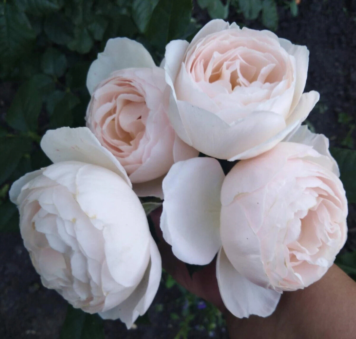 фото Татьяны