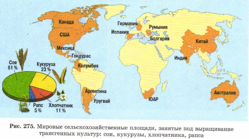 (шикарный учебник для профильных био- и медклассов, имхо, под ред. Теремова и Петросовой).