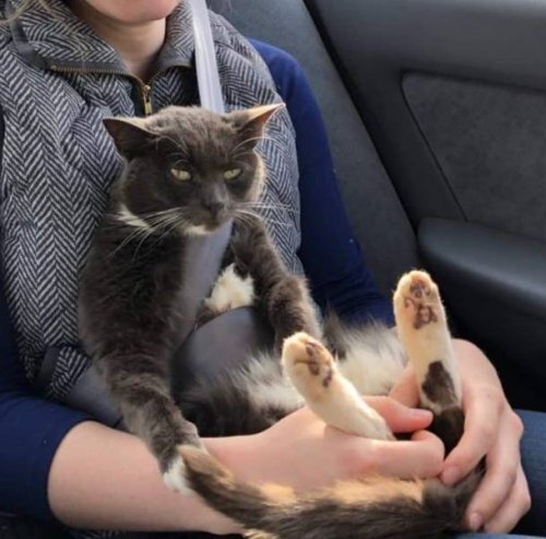 Безопасность маленького друга превыше всего