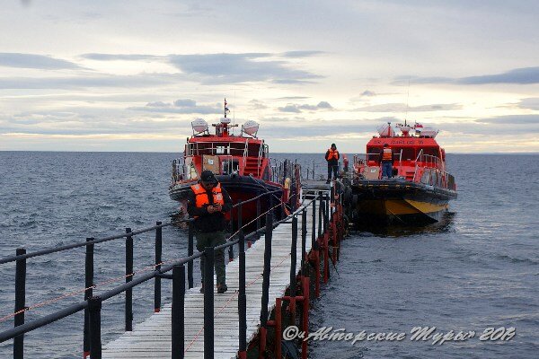 В самый интересный для туристов брачный сезон к о.Магдалены ежедневно - если позволяет погода, а она в Магеллановом проливе очень неустойчива - ходит несколько небольших экскурсионных ботиков. Ботики эти уже дожидаются нас у причала, расположенного в получасе езды от города Пунта-Аренас.