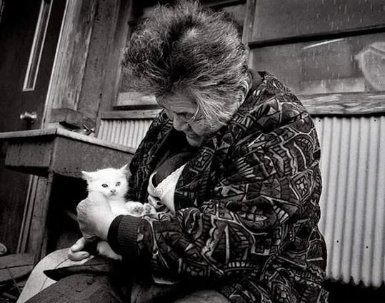 Источник: whitemanekicat.p1.bindsite.jp