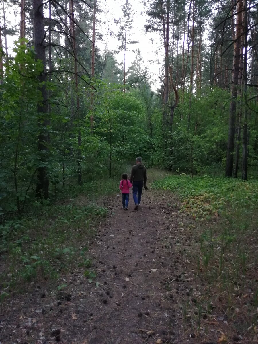 Пошли  с племяшкой в сказку